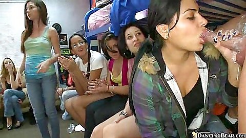 Sexy latina slut blowing dancing bear infront of everyone