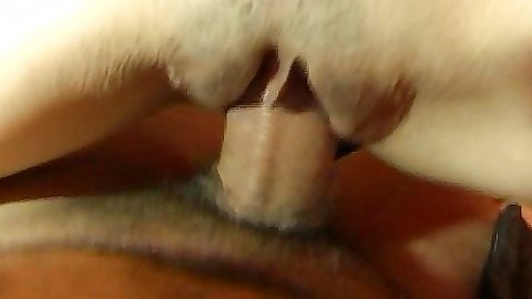 Sexy shaved pussy gf doing a close up sit on cock