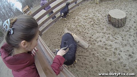 Going to the petting zoo witih love brunette euro teen Ananta Shakti picked for first sex video taping