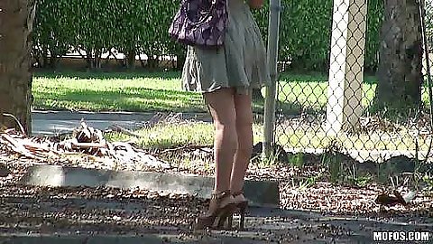 Chick relaxing near a tre in the park