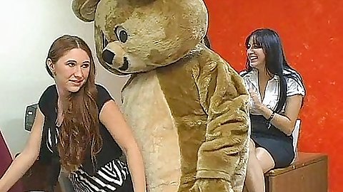 Dancing bear invited to casual friday get together